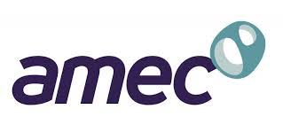 AMEC group